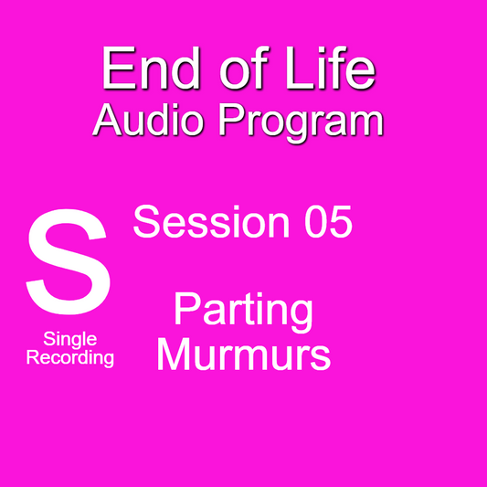 Single 05 - Parting Murmurs With Music MP3